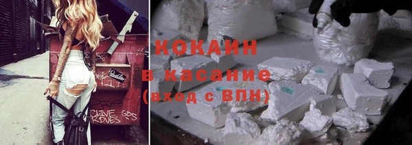 твердый Осинники