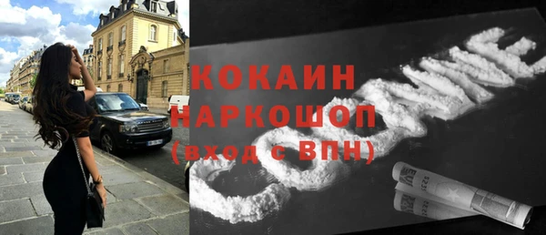 твердый Осинники
