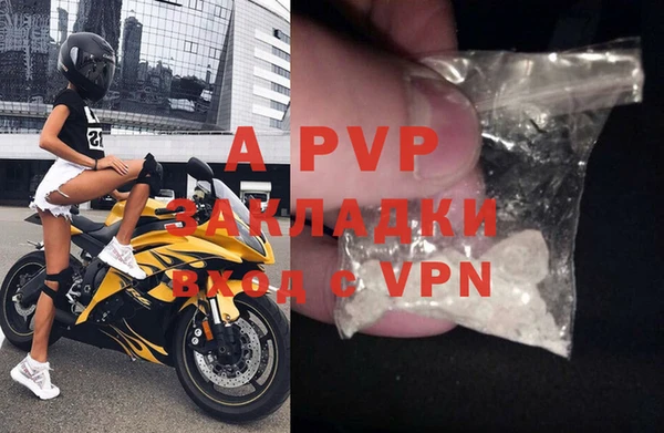 твердый Осинники