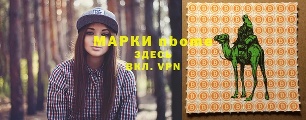 твердый Осинники