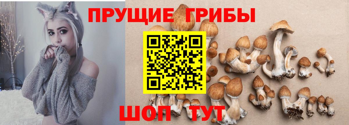 Галлюциногенные грибы MAGIC MUSHROOMS Отрадный